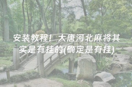 安装教程！大唐河北麻将其实是有挂的(确定是有挂)