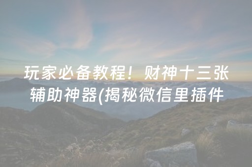 玩家必备教程！财神十三张辅助神器(揭秘微信里插件购买)