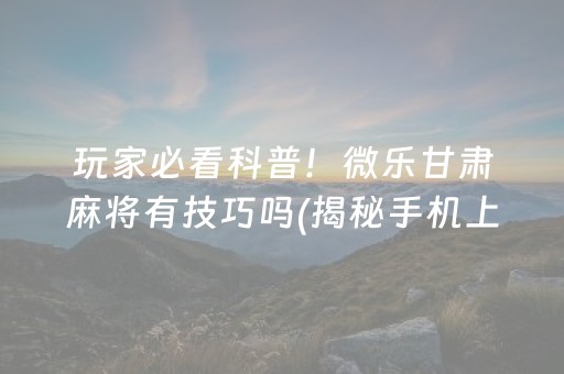 玩家必看科普！微乐甘肃麻将有技巧吗(揭秘手机上胜率到哪调)