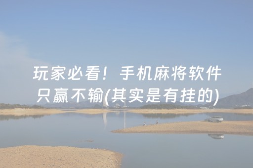 玩家必看！手机麻将软件只赢不输(其实是有挂的)