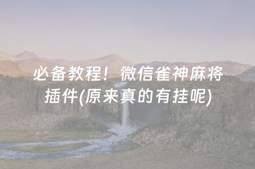 必备教程！微信雀神麻将插件(原来真的有挂呢)