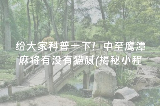 给大家科普一下！中至鹰潭麻将有没有猫腻(揭秘小程序提高胜率)