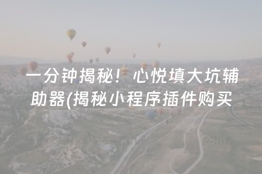 一分钟揭秘！心悦填大坑辅助器(揭秘小程序插件购买)