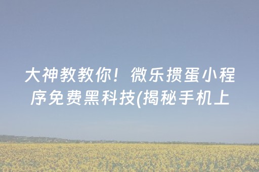 大神教教你！微乐掼蛋小程序免费黑科技(揭秘手机上攻略插件)