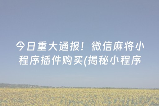 今日重大通报！微信麻将小程序插件购买(揭秘小程序攻略插件)