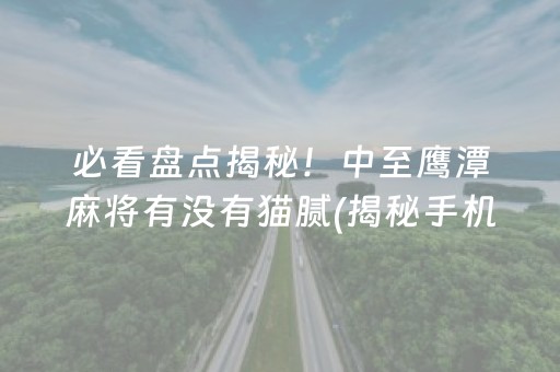 必看盘点揭秘！中至鹰潭麻将有没有猫腻(揭秘手机上专用神器下载)