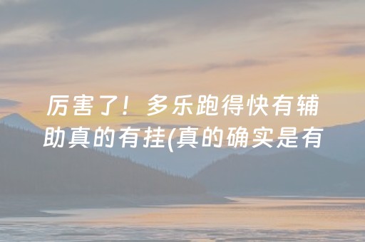 厉害了！多乐跑得快有辅助真的有挂(真的确实是有挂)
