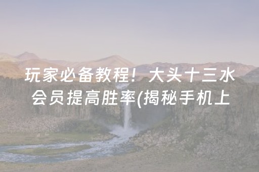 玩家必备教程！大头十三水会员提高胜率(揭秘手机上自建房怎么赢)