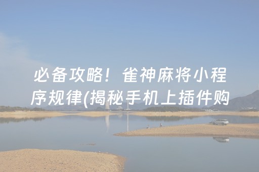 必备攻略！雀神麻将小程序规律(揭秘手机上插件购买)