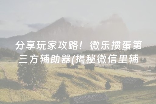 分享玩家攻略！微乐掼蛋第三方辅助器(揭秘微信里辅牌器)