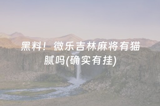 黑料！微乐吉林麻将有猫腻吗(确实有挂)