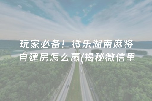 玩家必备！微乐湖南麻将自建房怎么赢(揭秘微信里插件下载)