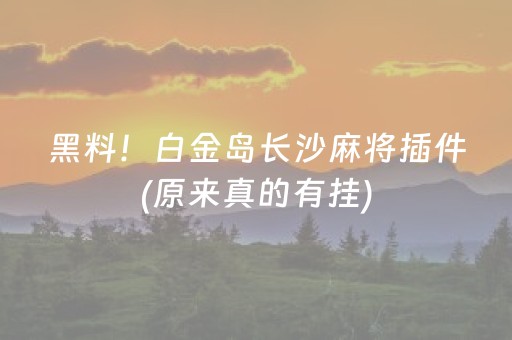黑料！白金岛长沙麻将插件(原来真的有挂)