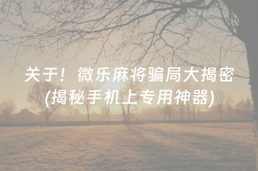 关于！微乐麻将骗局大揭密(揭秘手机上专用神器)