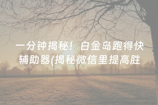一分钟揭秘！白金岛跑得快辅助器(揭秘微信里提高胜率)