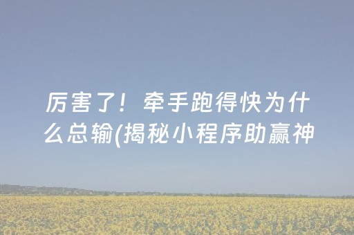 厉害了！牵手跑得快为什么总输(揭秘小程序助赢神器购买)
