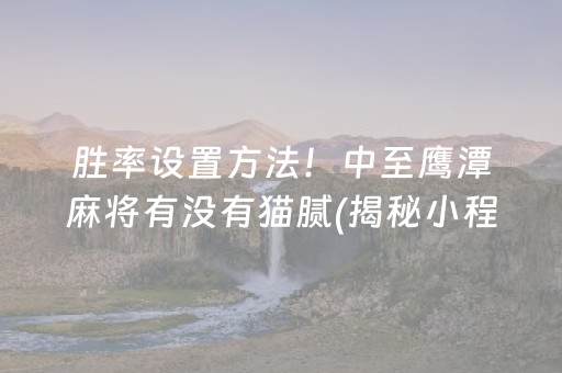 胜率设置方法！中至鹰潭麻将有没有猫腻(揭秘小程序最新神器下载)