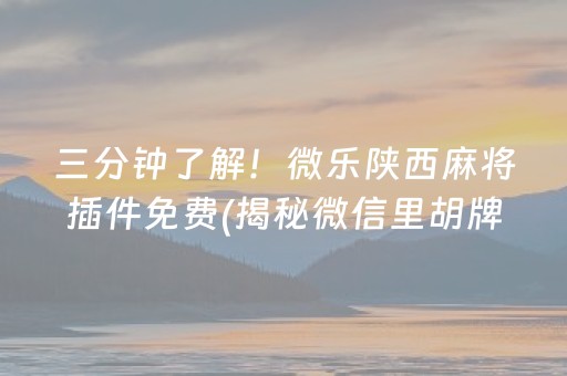 三分钟了解！微乐陕西麻将插件免费(揭秘微信里胡牌技巧)