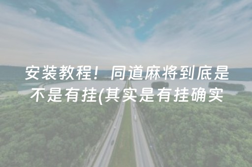 安装教程！同道麻将到底是不是有挂(其实是有挂确实有挂)