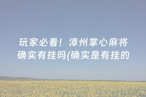 玩家必看！漳州掌心麻将确实有挂吗(确实是有挂的)
