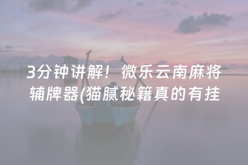 3分钟讲解！微乐云南麻将辅牌器(猫腻秘籍真的有挂)