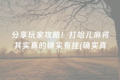 分享玩家攻略！打哈儿麻将其实真的确实有挂(确实真的有挂)