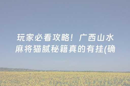 玩家必看攻略！广西山水麻将猫腻秘籍真的有挂(确定是有挂)