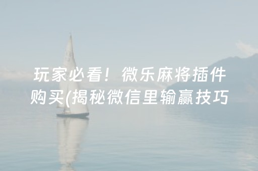 玩家必看！微乐麻将插件购买(揭秘微信里输赢技巧)