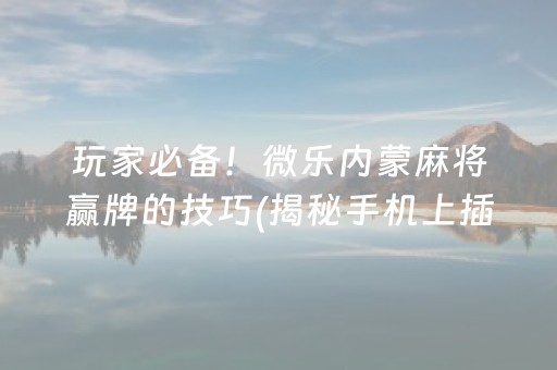 玩家必备！微乐内蒙麻将赢牌的技巧(揭秘手机上插件购买)