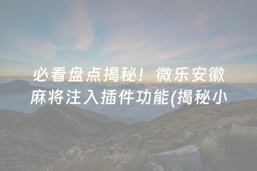 必看盘点揭秘！微乐安徽麻将注入插件功能(揭秘小程序确实有猫腻)