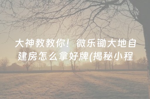 大神教教你！微乐锄大地自建房怎么拿好牌(揭秘小程序专用神器下载)
