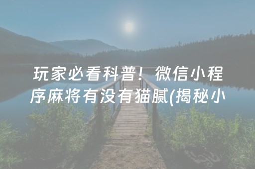玩家必看科普！微信小程序麻将有没有猫腻(揭秘小程序系统发好牌)