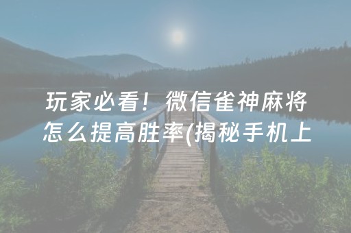 玩家必看！微信雀神麻将怎么提高胜率(揭秘手机上助攻神器)