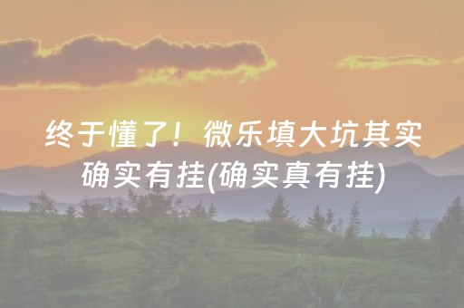 终于懂了！微乐填大坑其实确实有挂(确实真有挂)