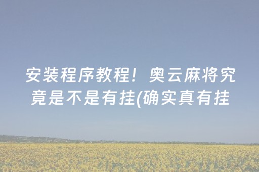 安装程序教程！奥云麻将究竟是不是有挂(确实真有挂)
