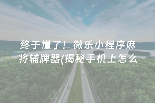 终于懂了！微乐小程序麻将辅牌器(揭秘手机上怎么容易赢)