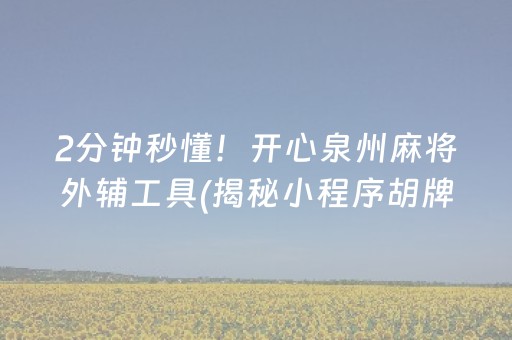 2分钟秒懂！开心泉州麻将外辅工具(揭秘小程序胡牌神器)