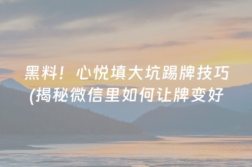 黑料！心悦填大坑踢牌技巧(揭秘微信里如何让牌变好)