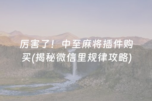 厉害了！中至麻将插件购买(揭秘微信里规律攻略)
