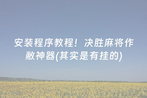安装程序教程！决胜麻将作敝神器(其实是有挂的)