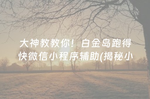 大神教教你！白金岛跑得快微信小程序辅助(揭秘小程序提高赢的概率)