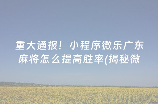 重大通报！小程序微乐广东麻将怎么提高胜率(揭秘微信里最新神器下载)