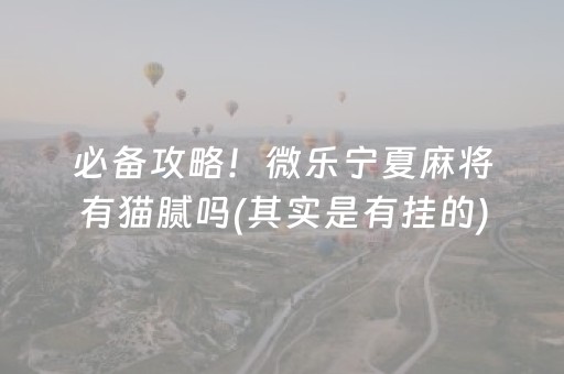 必备攻略！微乐宁夏麻将有猫腻吗(其实是有挂的)