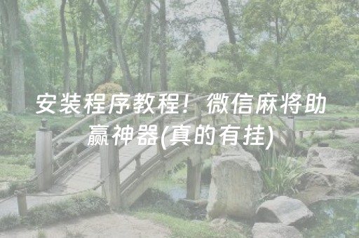安装程序教程！微信麻将助赢神器(真的有挂)