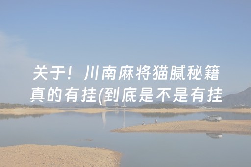 关于！川南麻将猫腻秘籍真的有挂(到底是不是有挂)