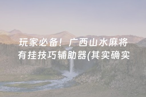 玩家必备！广西山水麻将有挂技巧辅助器(其实确实有挂)