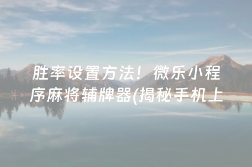胜率设置方法！微乐小程序麻将辅牌器(揭秘手机上自建房怎么赢)