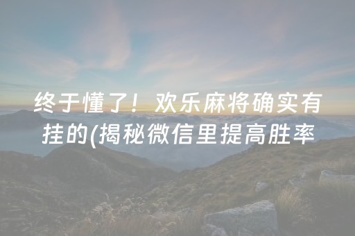 终于懂了！欢乐麻将确实有挂的(揭秘微信里提高胜率)