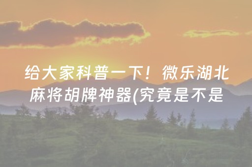 给大家科普一下！微乐湖北麻将胡牌神器(究竟是不是有挂)
