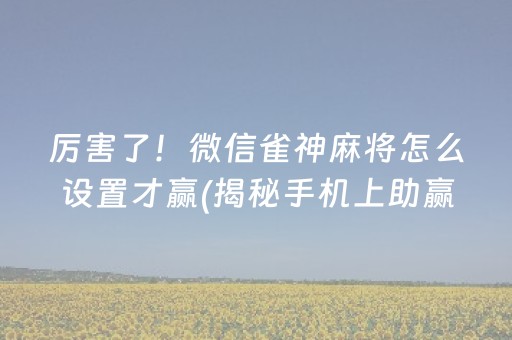 厉害了！微信雀神麻将怎么设置才赢(揭秘手机上助赢软件)
